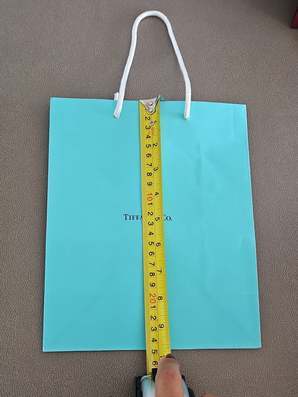 Tiffany & Co. Signature Turquoise Paper Tote with White Rope Handles